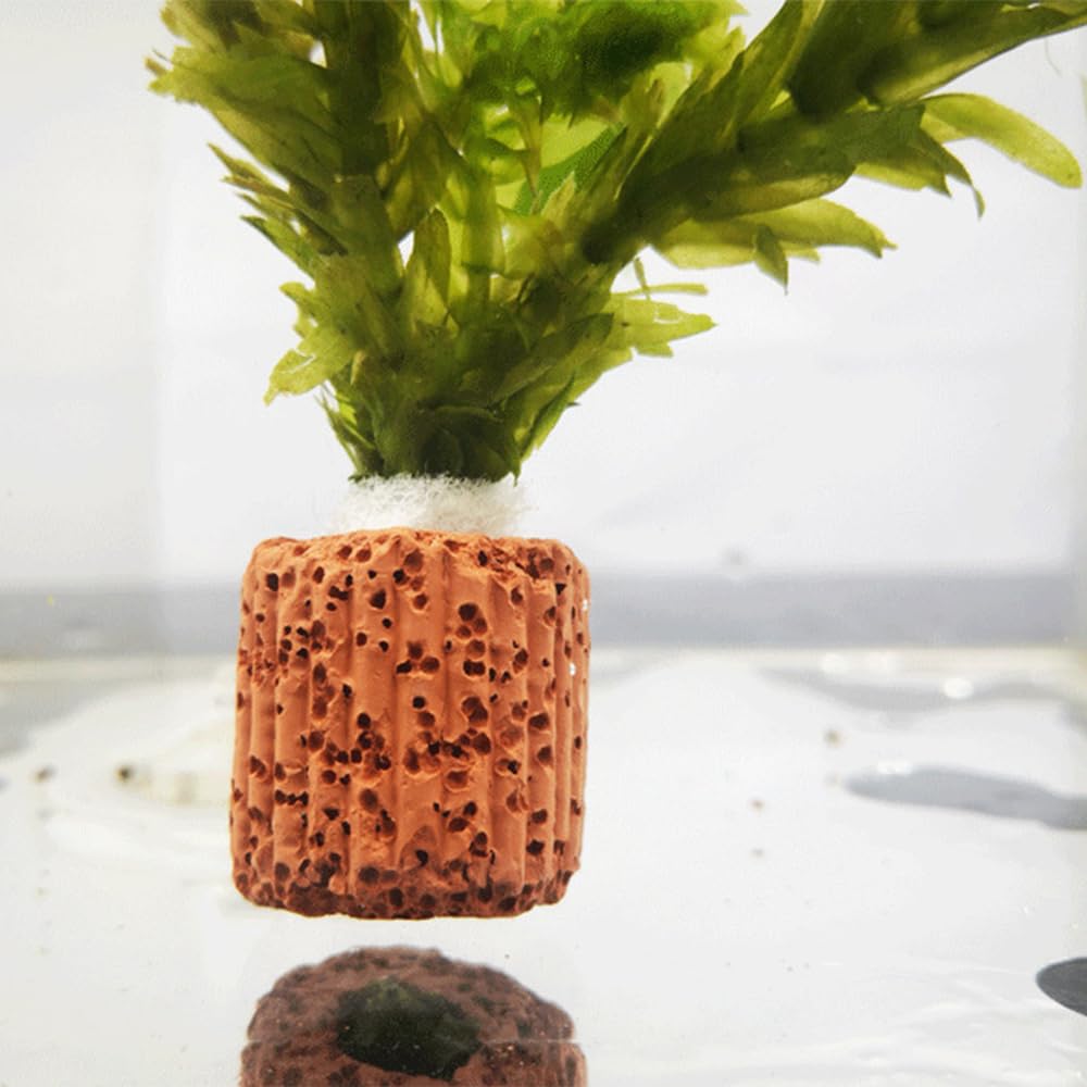 水生植物固定リング 5個セット 水草固定リング 水槽の植物ホルダー 水槽オーナメント 水槽の装飾 花壇 金魚 苔盆栽 底砂 溶岩石 水草の固定 ほとんどの水草の固定に適しています(内径サイズ1.2cm)