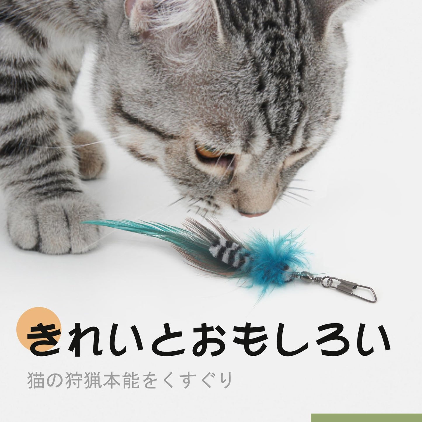 猫 おもちゃ 猫じゃらし ねこ玩具 昆虫 大飛ぶ虫昆虫６個 竿つき