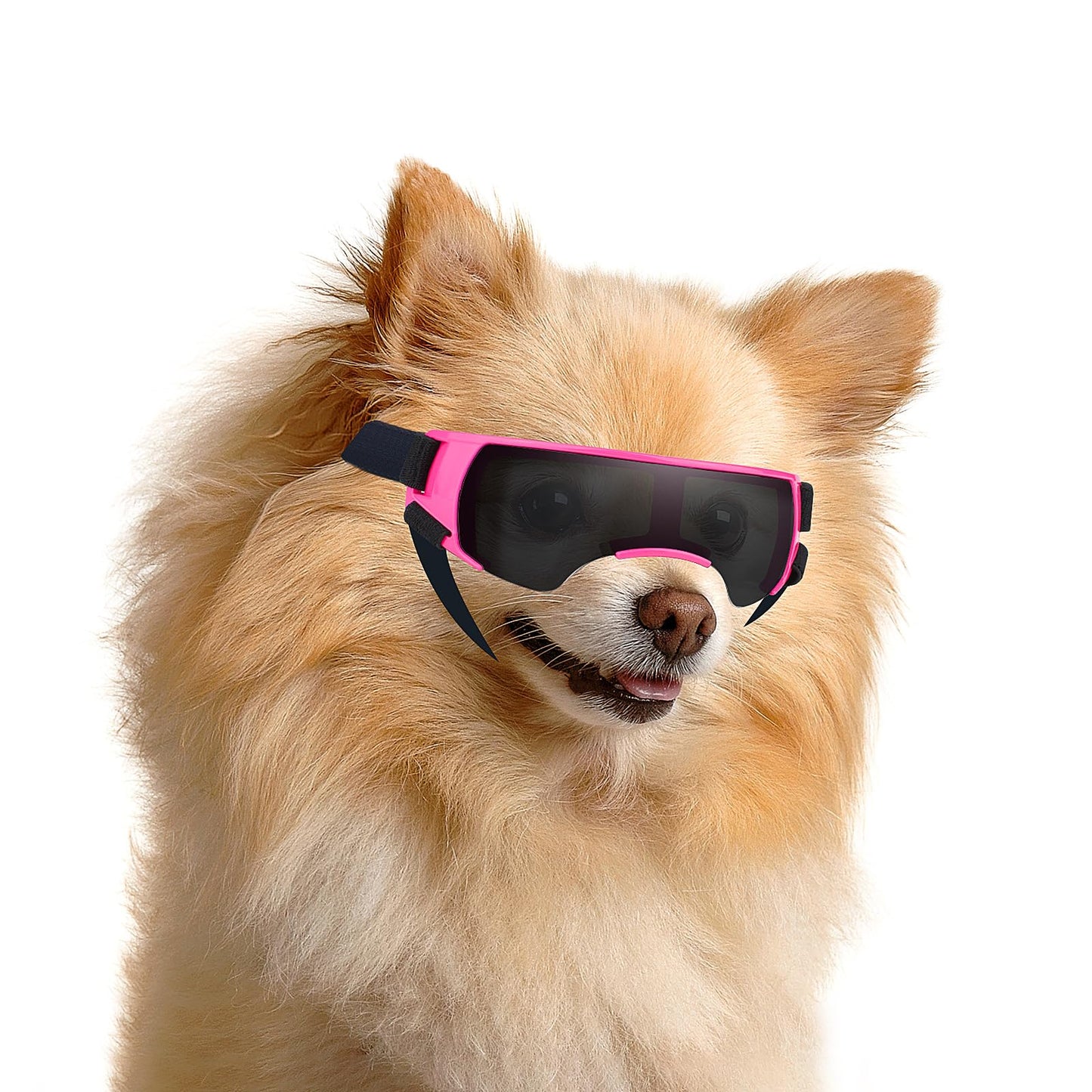 サングラス 小型犬 UV保護 ドッグゴーグル アイウェア 防風 曇り止め ドッグシェード 小型犬用 約5ポンド以上 クリア