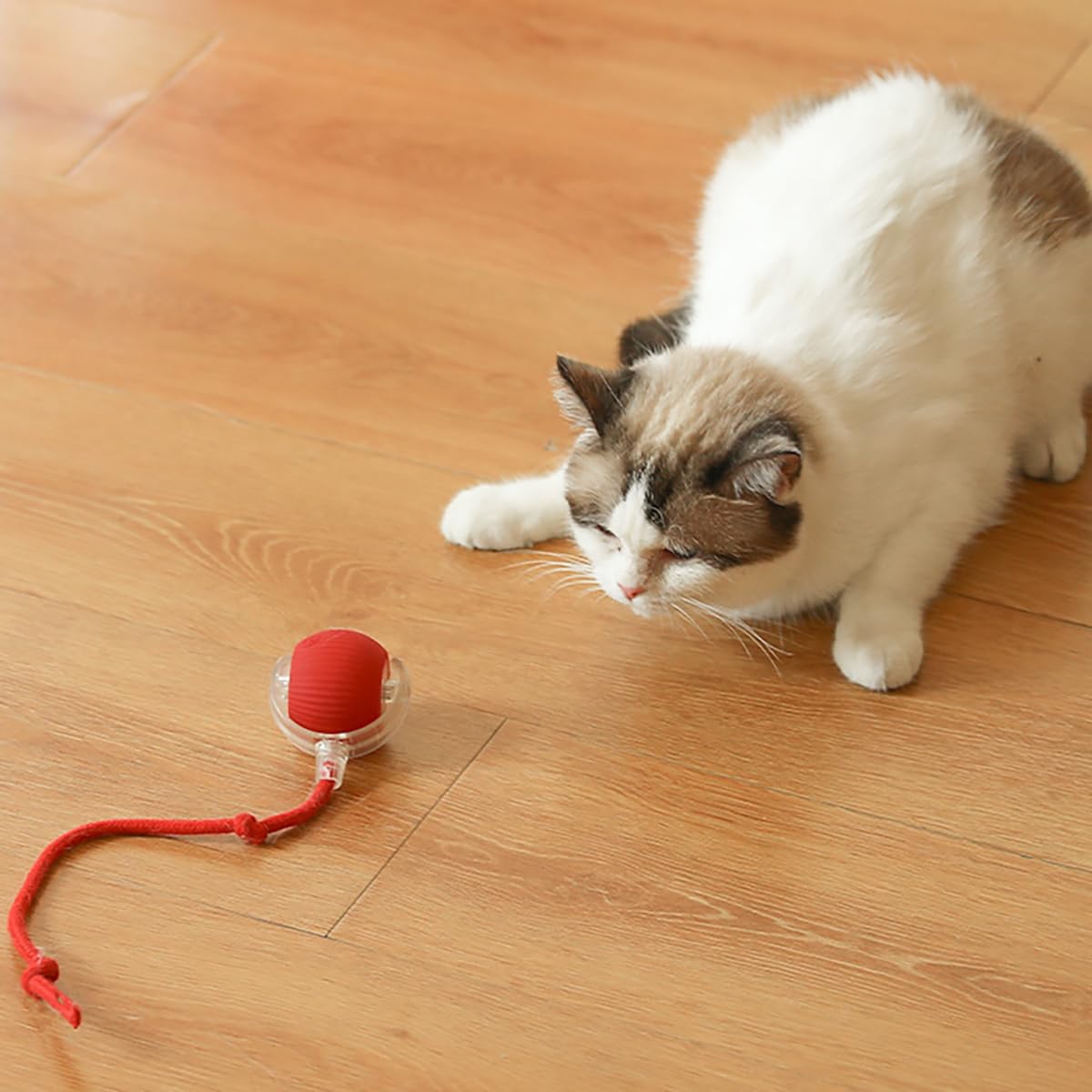 猫 おもちゃ 自動猫ボールおもちゃ 動く猫ボールおもちゃ 自動 360 度回転ローリング ボール USB 充電付き Type-C充電コネクタ