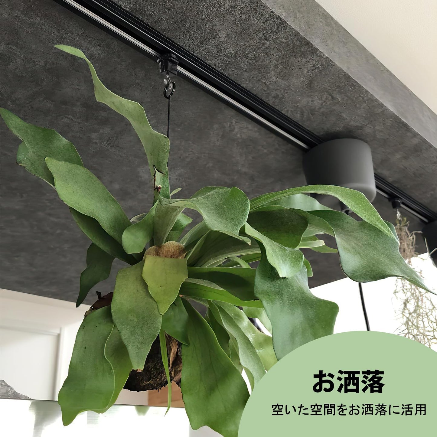 抜け止ダクトレール用吊りフック 照明器具配線 ショップライン 吊りフック 吊りフック ライテック ライティングレール用吊りフック オーデリック ライティングレール吊りフック 簡単取付 工事不要 ブラック
