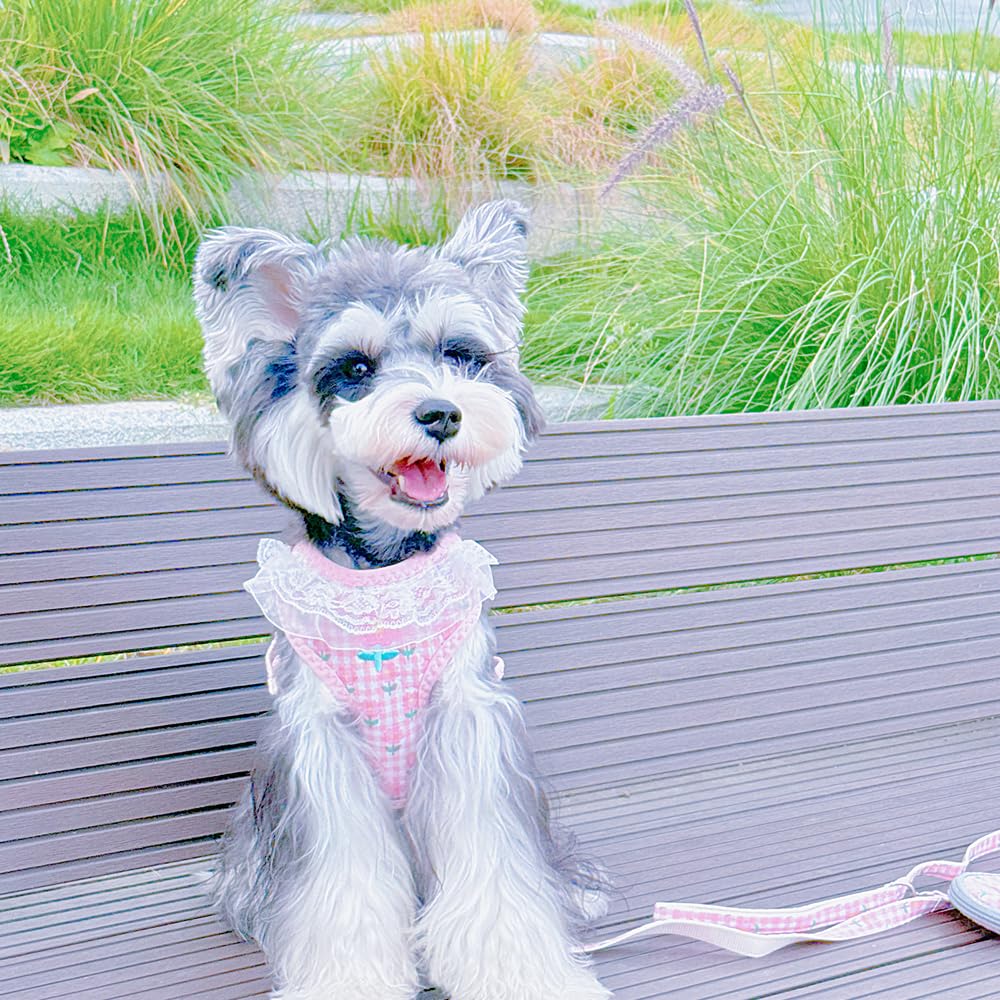 犬用ハーネス - 小型犬 猫 用ハーネス＆リードセット 通気性、簡単着脱、調節可能、安全ハンドル