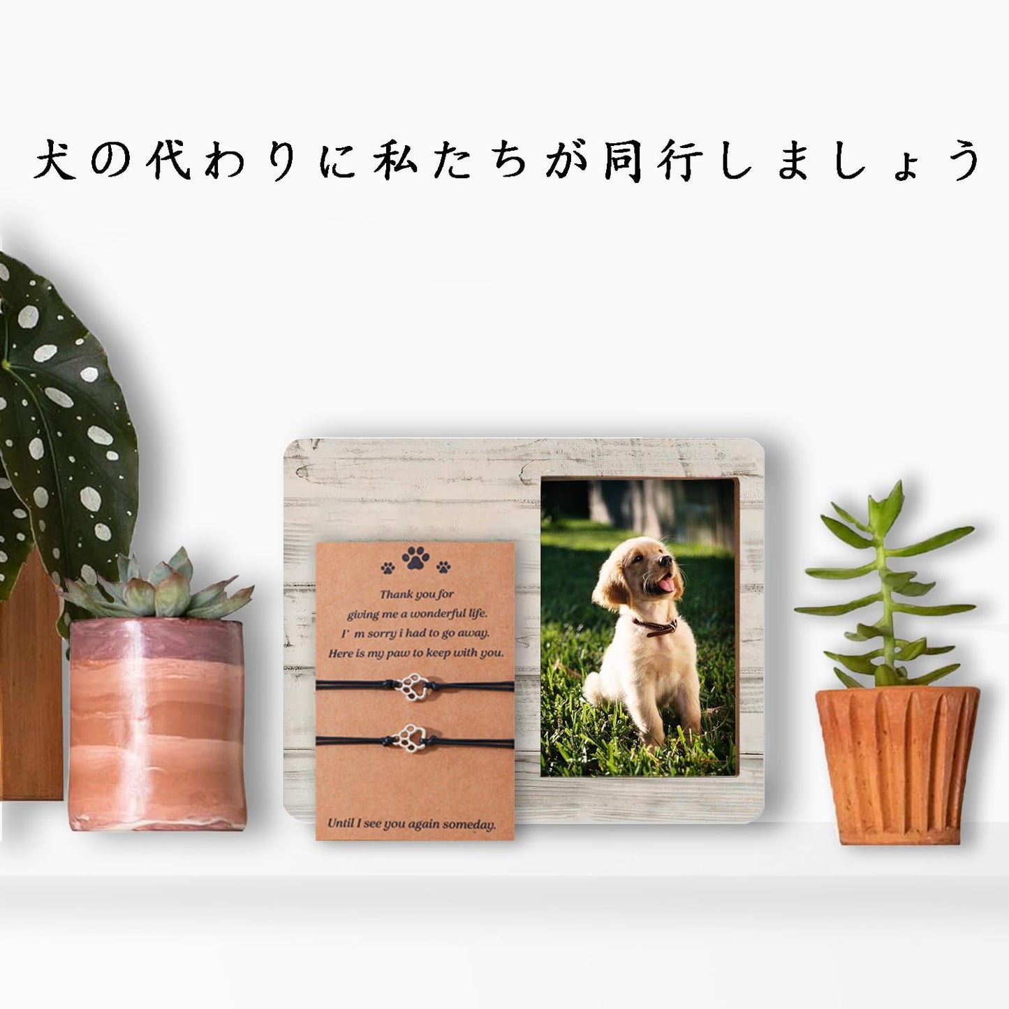 ブレスレット ペット 足跡 ブレスレット メンズ レディース 調節可能 腕輪 クリスマス 誕生日 記念日 プレゼント ギフト