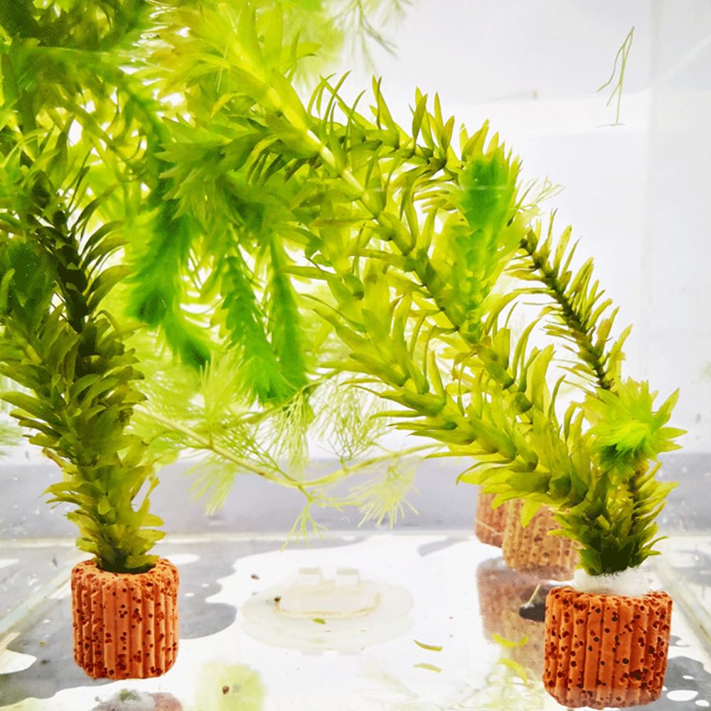 水生植物固定リング 5個セット 水草固定リング 水槽の植物ホルダー 水槽オーナメント 水槽の装飾 花壇 金魚 苔盆栽 底砂 溶岩石 水草の固定 ほとんどの水草の固定に適しています（内径サイズ1.2cm）