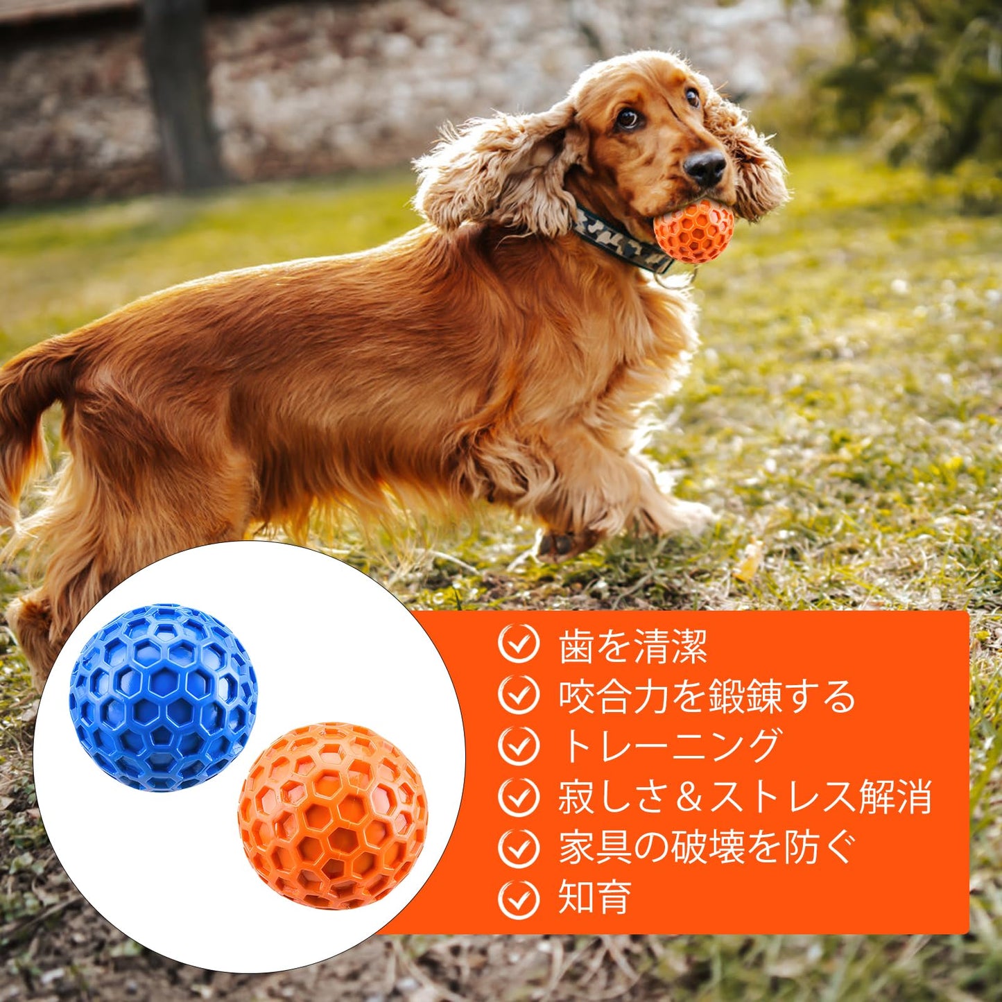 犬用ボール 噛むおもちゃ 音の出るボール 人気の知育玩具 耐久性と弾力性 天然ゴム 歯の掃除 口臭予防 運動不足解消 ストレス解消 小型犬・中型犬に最適【オレンジ×ブルー 2個セット】