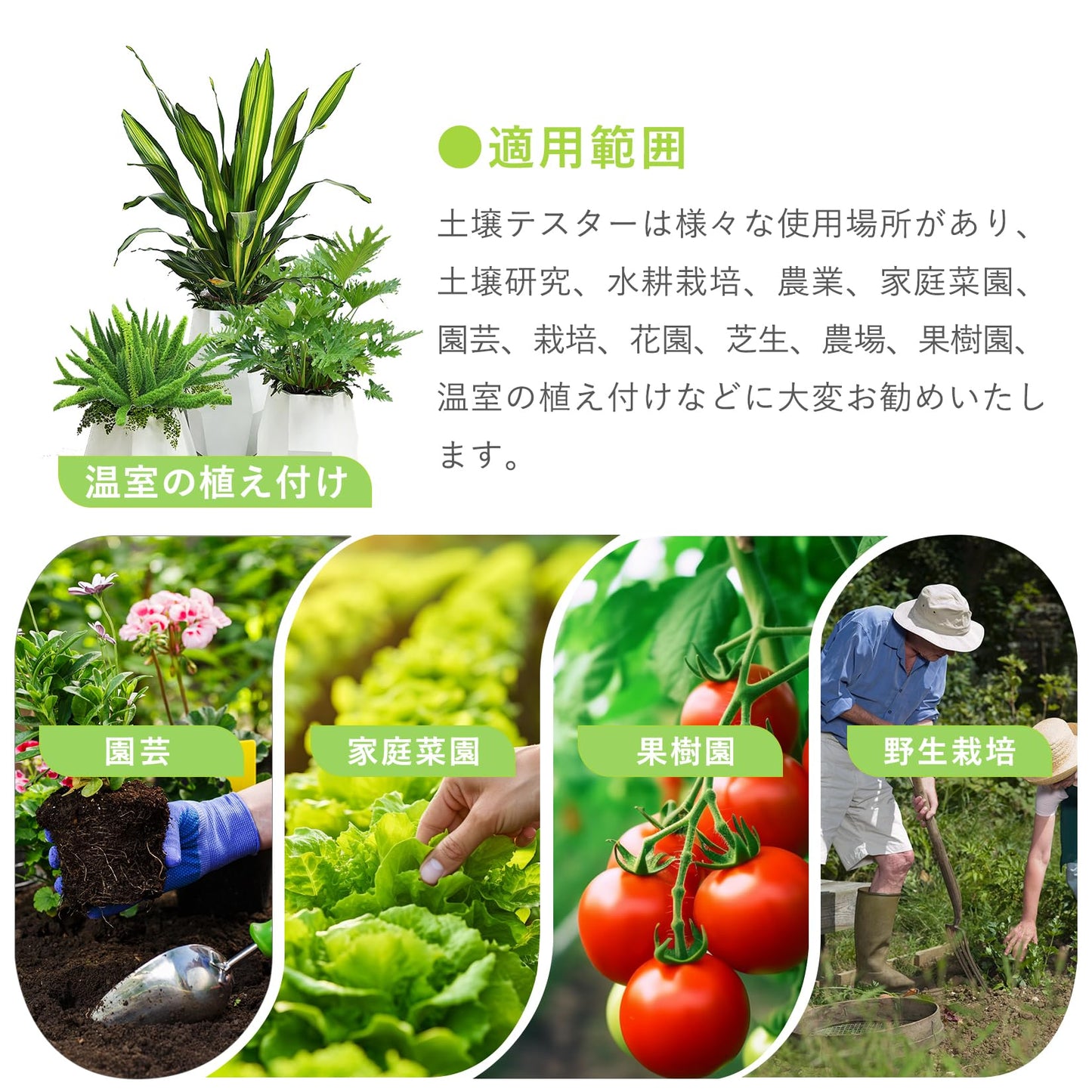 土壌 ph測定器 phメーター 4点セット 土壌酸度計 6in1 肥沃度/温度/土壌湿度/pH/環境湿度/照度 土壌テスター デジタル ecメーター 土壌水分計 土壌メーター