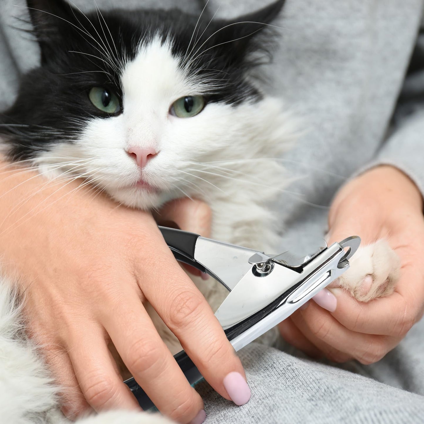 ペット爪切り ステンレス製 爪切り 猫 小型犬 うさぎ 動物 爪ヤスリ付き 爪切り ネイルトリマー ギロチンタイプ 軽量 コンパクト 初心者に 安心安全 小型犬猫用爪切り
